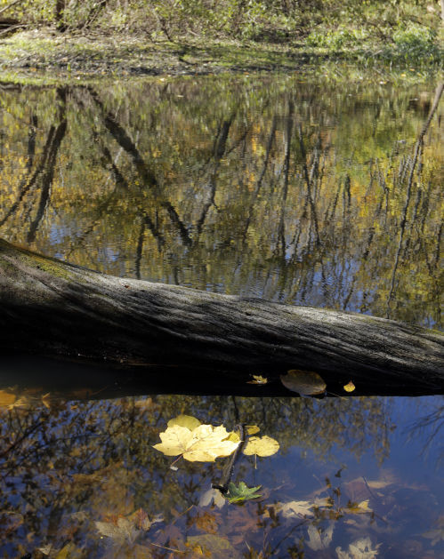 101314bp-fall-color-package-20